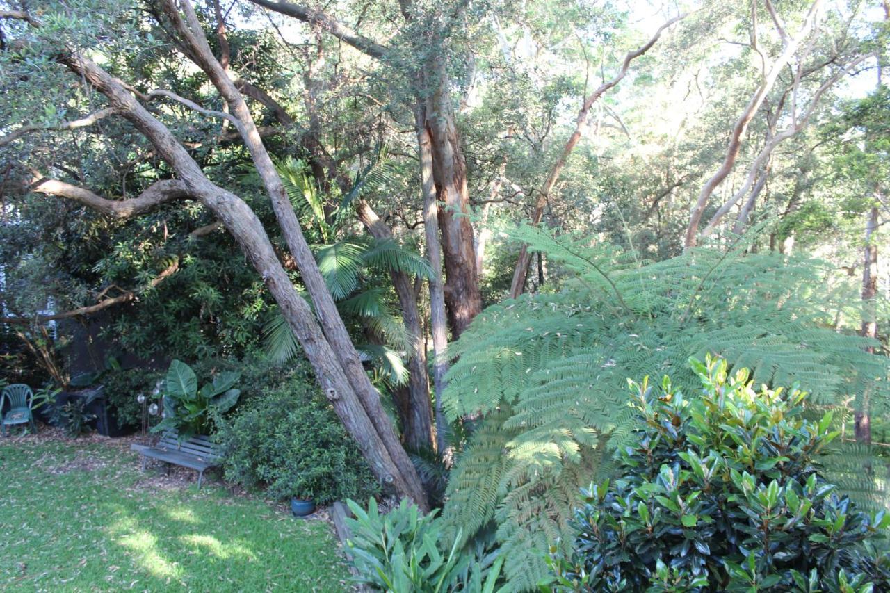 Bushland Setting Close To Sydney Cbd- Stand Alone Apartment Kültér fotó
